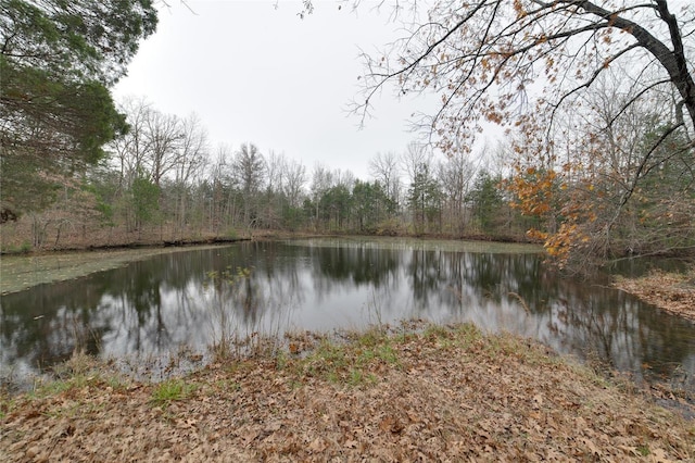 view of water feature featuring a wooded view