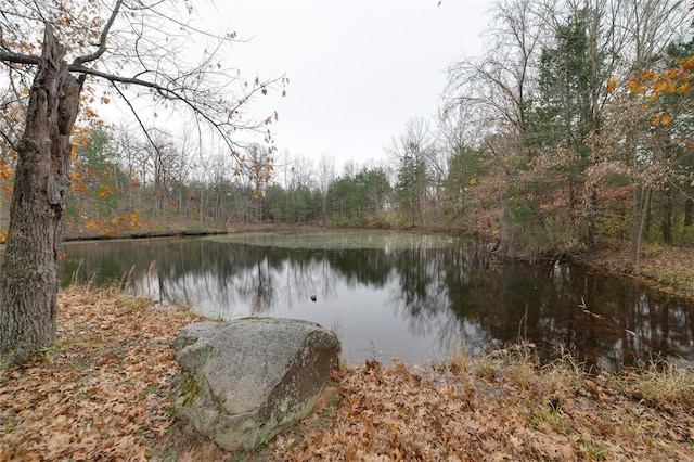 view of water feature featuring a forest view