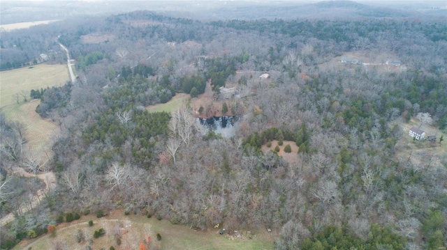 drone / aerial view featuring a wooded view