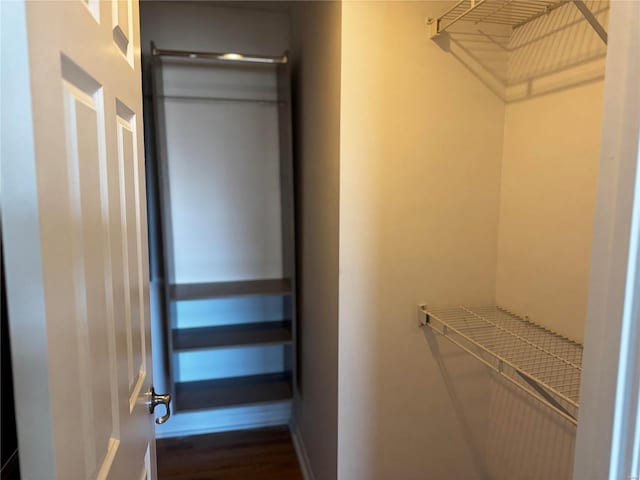 spacious closet featuring dark wood finished floors