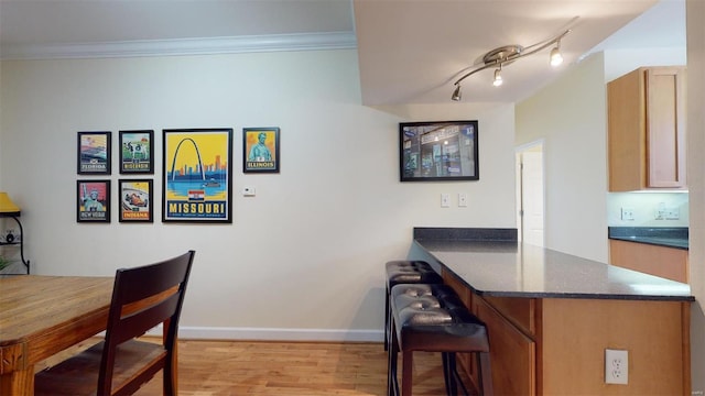 dining area featuring light wood finished floors, rail lighting, baseboards, and ornamental molding