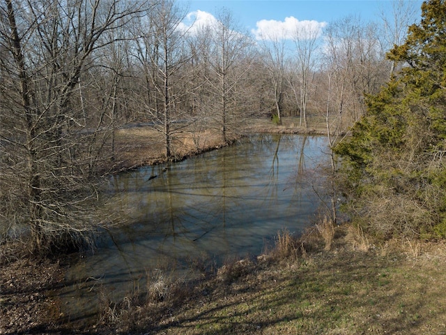 property view of water featuring a wooded view