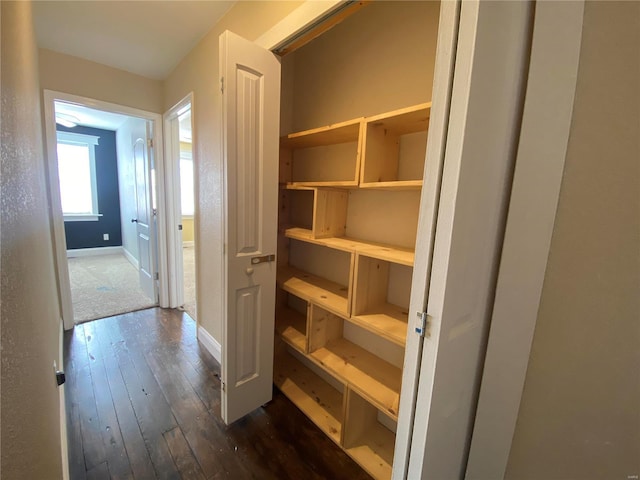 interior space featuring dark wood finished floors and baseboards