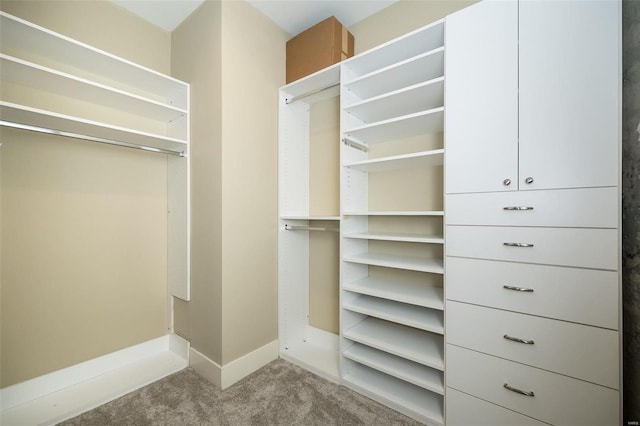 walk in closet with carpet flooring