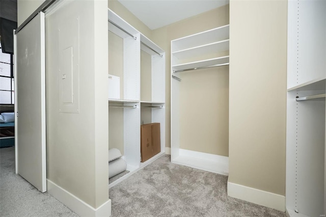 walk in closet with carpet flooring