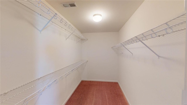 walk in closet featuring visible vents and carpet floors