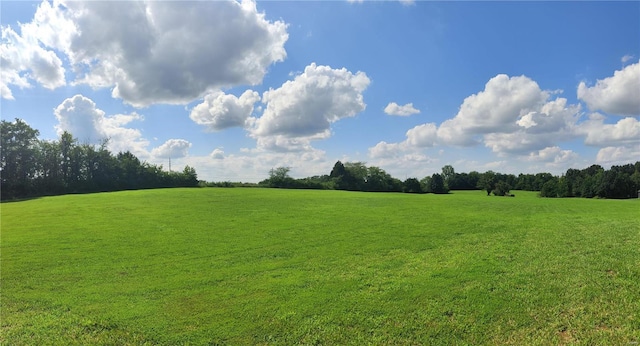 view of yard featuring a rural view