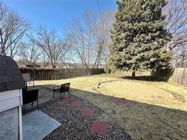 view of yard with a patio and a fenced backyard