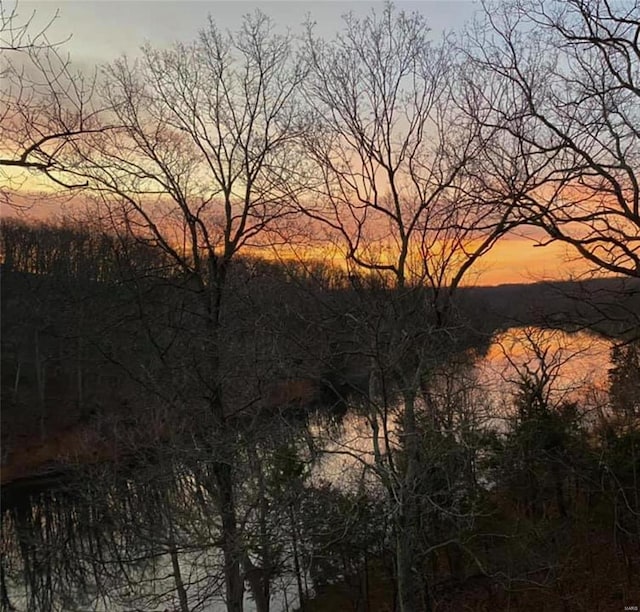 view of nature at dusk