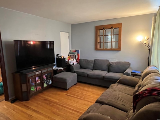 living area featuring wood finished floors