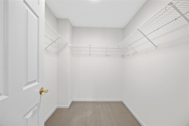 spacious closet featuring light colored carpet