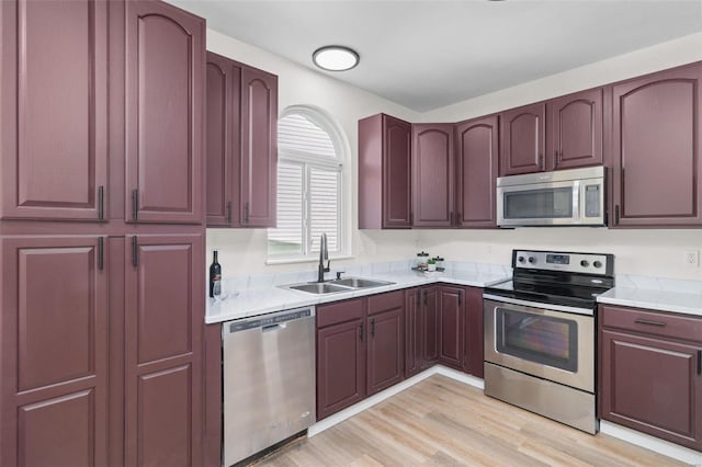 kitchen featuring a sink, light wood-type flooring, appliances with stainless steel finishes, and light countertops