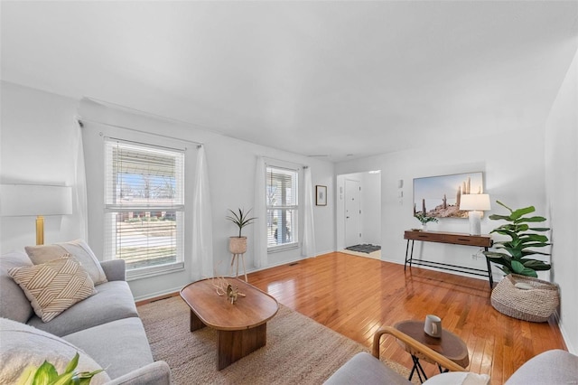 living room with hardwood / wood-style flooring