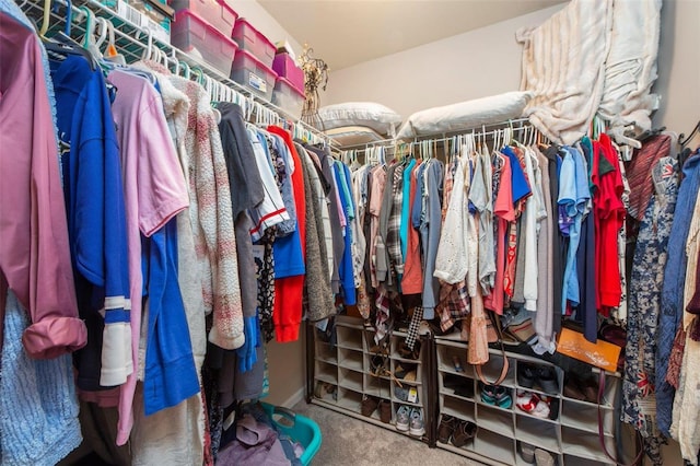 spacious closet with carpet