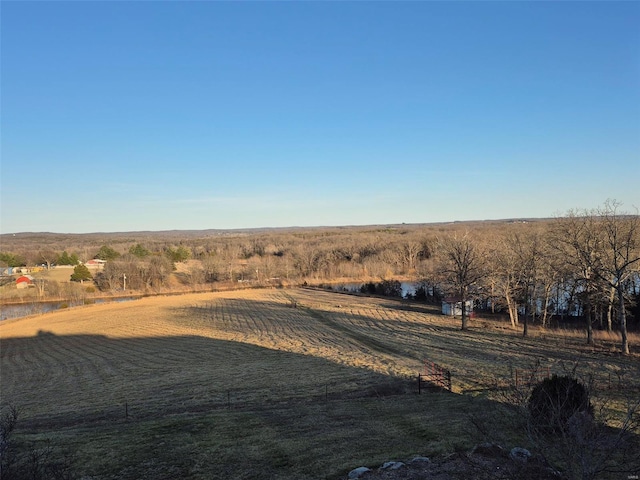 view of yard featuring a rural view