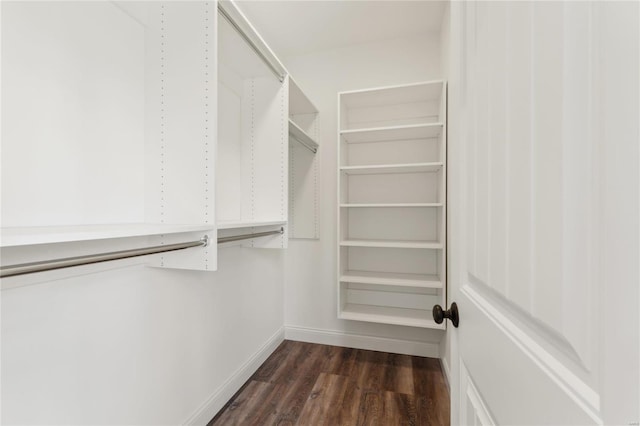 spacious closet with dark wood finished floors