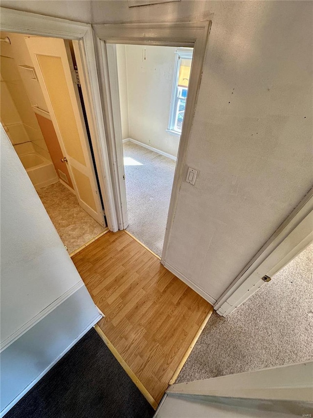 hallway with carpet flooring and wood finished floors