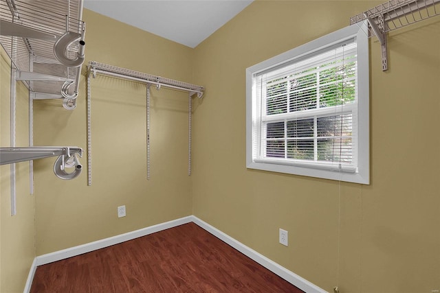 spacious closet featuring wood finished floors