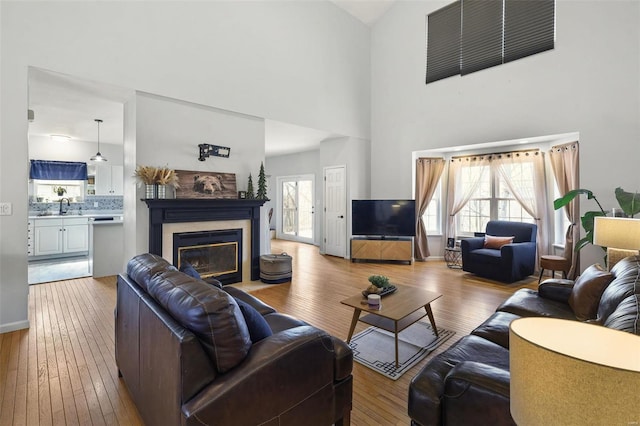 living room with a healthy amount of sunlight and hardwood / wood-style flooring