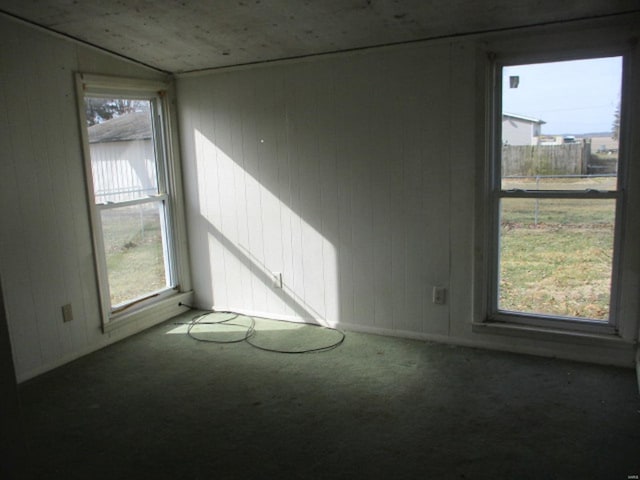 empty room featuring carpet floors