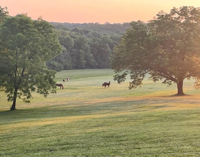 surrounding community featuring a rural view and a yard