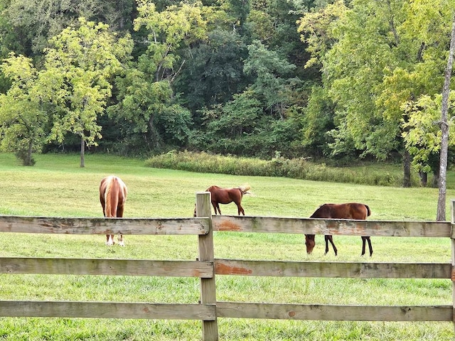 view of yard with fence, a rural view, and a wooded view