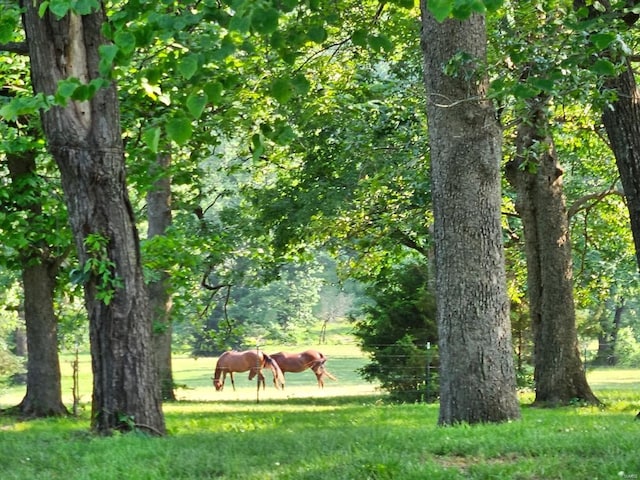 view of property's community