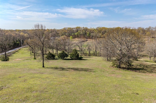 view of local wilderness featuring a forest view