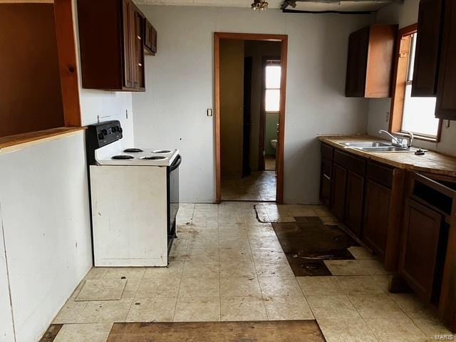 kitchen with a sink, plenty of natural light, dark brown cabinetry, and electric stove