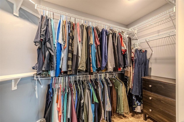 spacious closet with carpet flooring