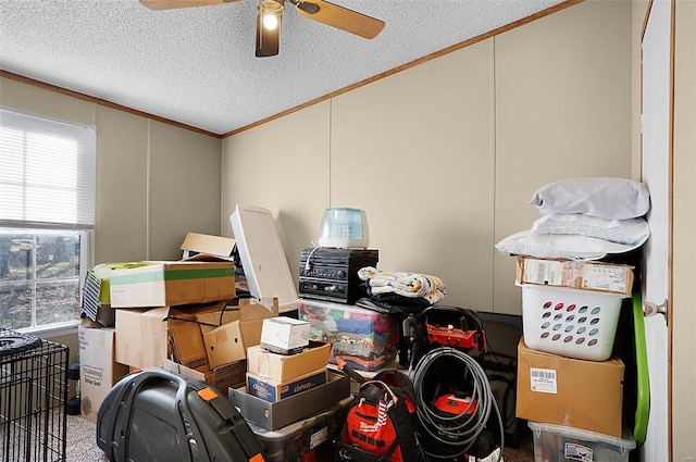 storage featuring ceiling fan