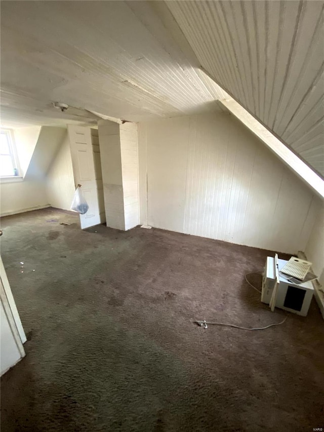 additional living space featuring carpet