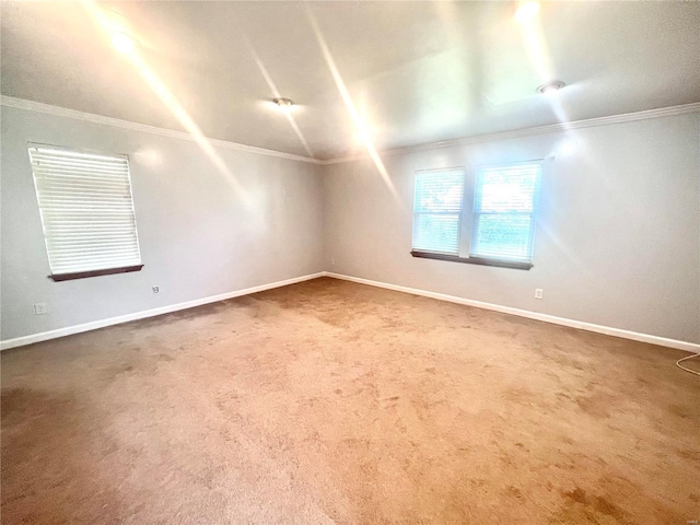 spare room with baseboards, crown molding, and carpet