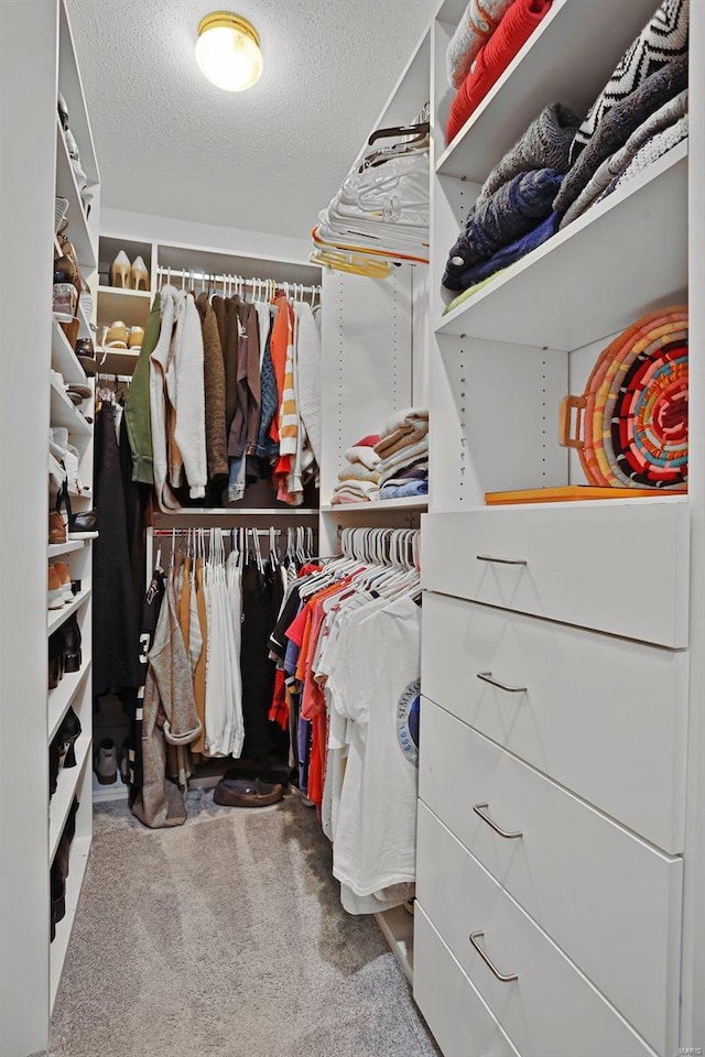 spacious closet with carpet flooring