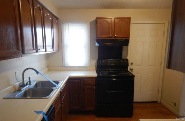 kitchen featuring black range with electric cooktop, under cabinet range hood, light countertops, brown cabinetry, and a sink