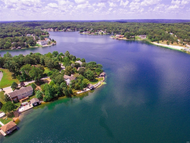 bird's eye view featuring a view of trees and a water view