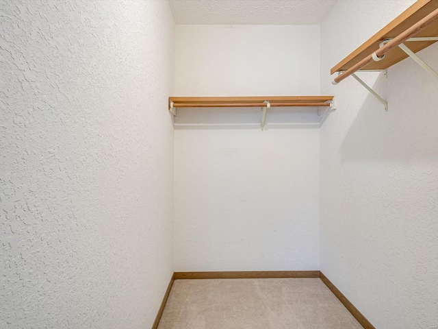 walk in closet featuring carpet