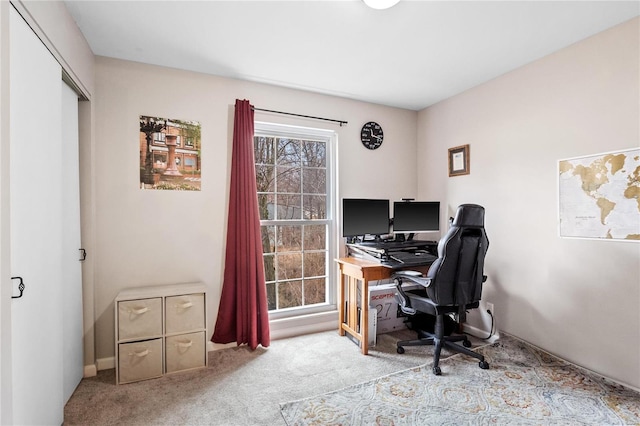 office area featuring carpet flooring