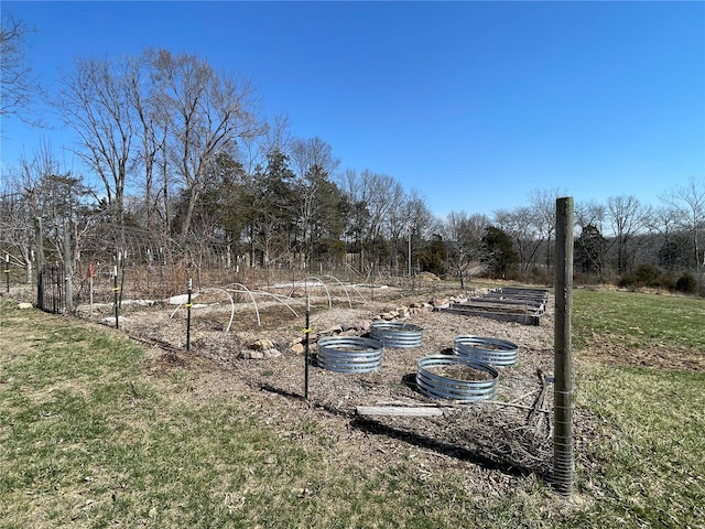 view of yard with a vegetable garden