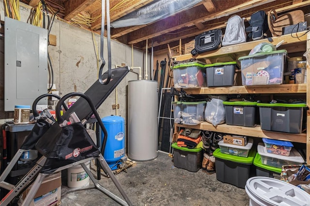 unfinished basement featuring gas water heater and electric panel