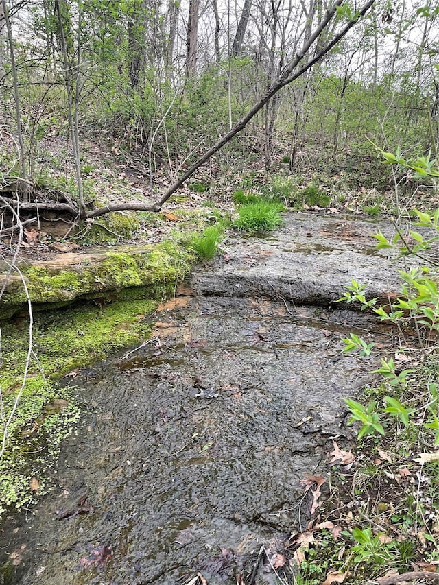 view of local wilderness featuring a forest view