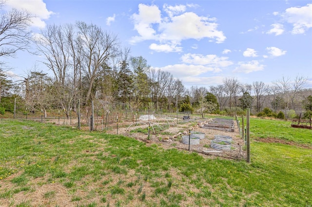 view of yard featuring a vegetable garden