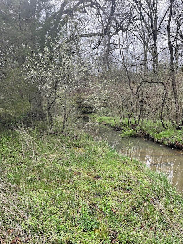 view of local wilderness featuring a forest view