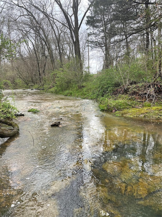 view of water feature