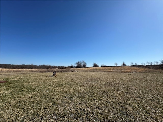 view of yard with a rural view