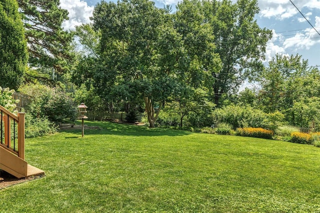 view of yard featuring fence