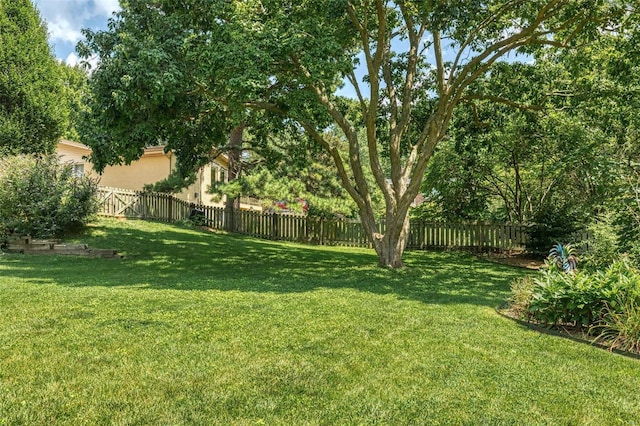 view of yard featuring a fenced backyard