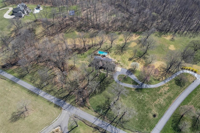drone / aerial view