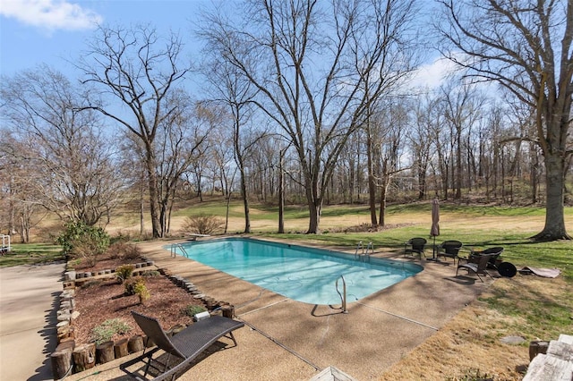 pool with a diving board, a patio area, and a lawn