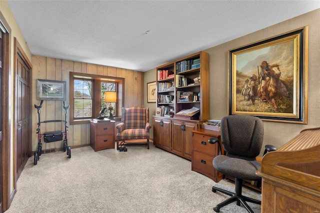 office space with light colored carpet and a textured ceiling
